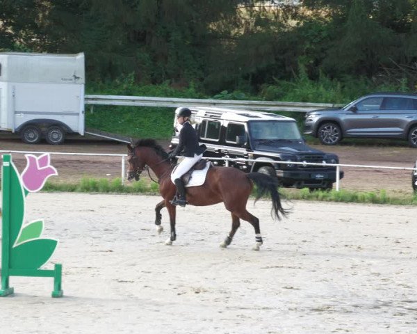 Reitturnier Heiligenwald 2023