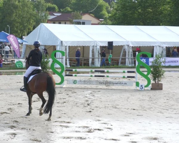 Reitturnier Heiligenwald 2023