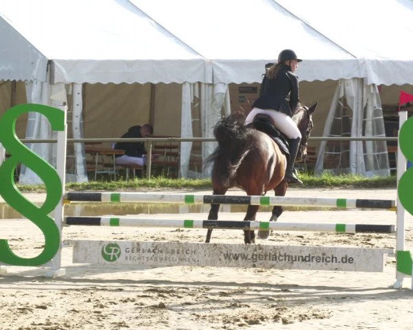 Reitturnier Heiligenwald 2023