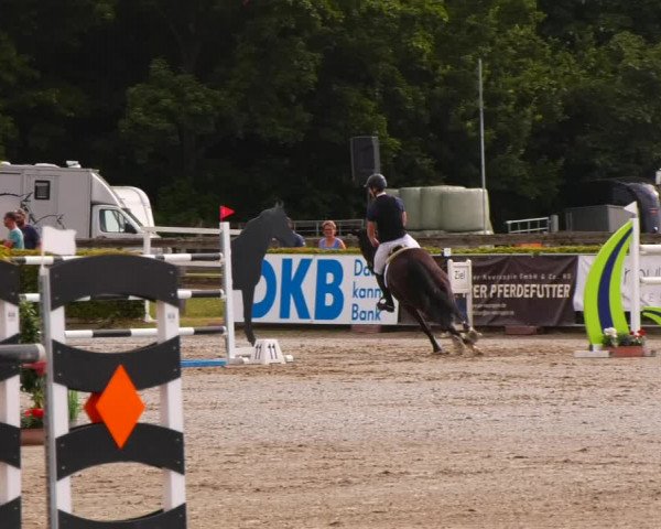 Reitturnier Neustadt/Dosse 2023