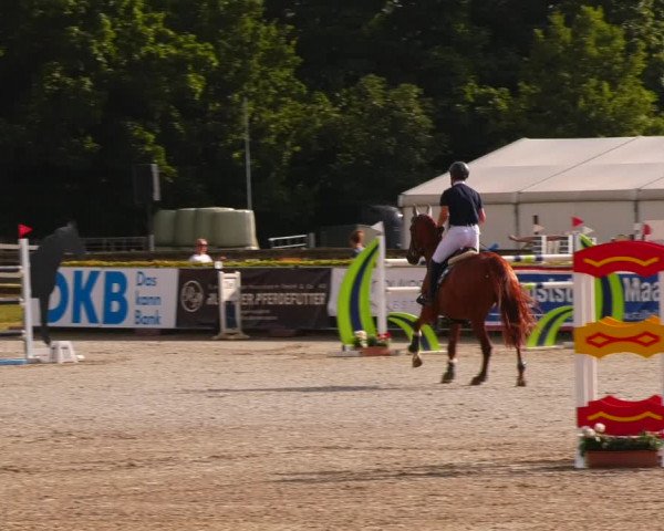 Reitturnier Neustadt/Dosse 2023