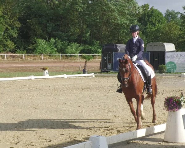 Reitturnier Heiligenwald 2023