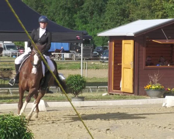 Reitturnier Heiligenwald 2023
