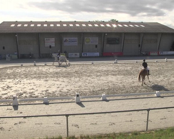 Reitturnier Ehningen 2023