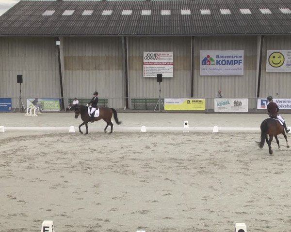 Reitturnier Ehningen 2023
