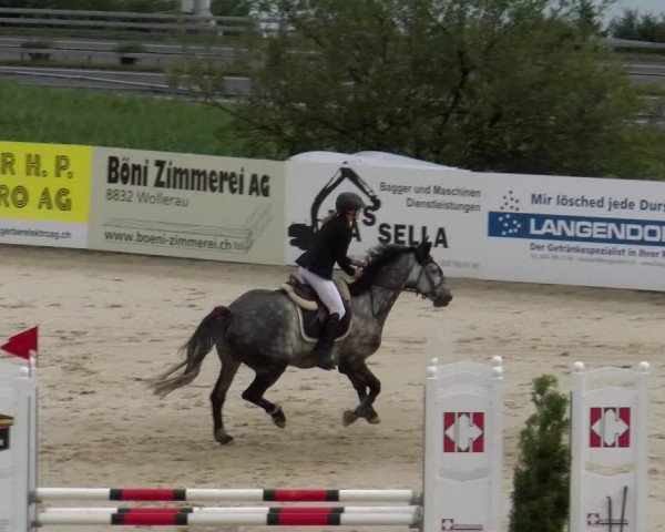 Reitturnier Wädenswil 2023