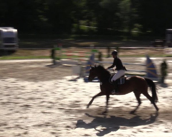 Reitturnier Bad Liebenstein/Sorga 2023