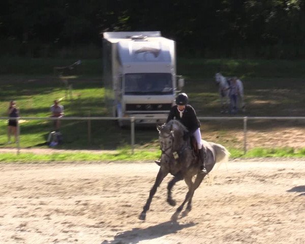 Reitturnier Bad Liebenstein/Sorga 2023