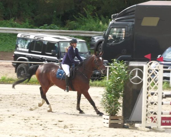 Reitturnier Heiligenwald 2023