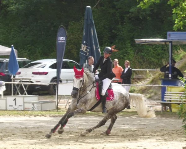 Reitturnier Heiligenwald 2023