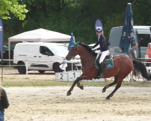 Reitturnier Heiligenwald 2023