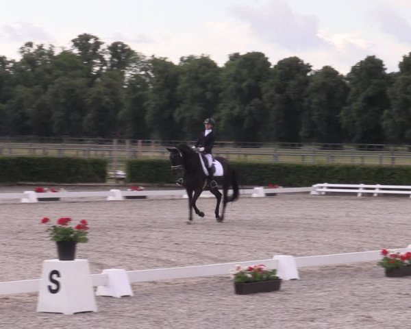 Reitturnier Neustadt/Dosse 2023