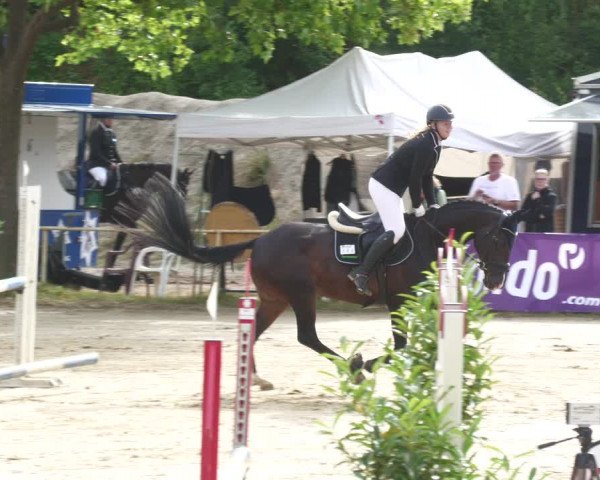 Reitturnier Heiligenwald 2023