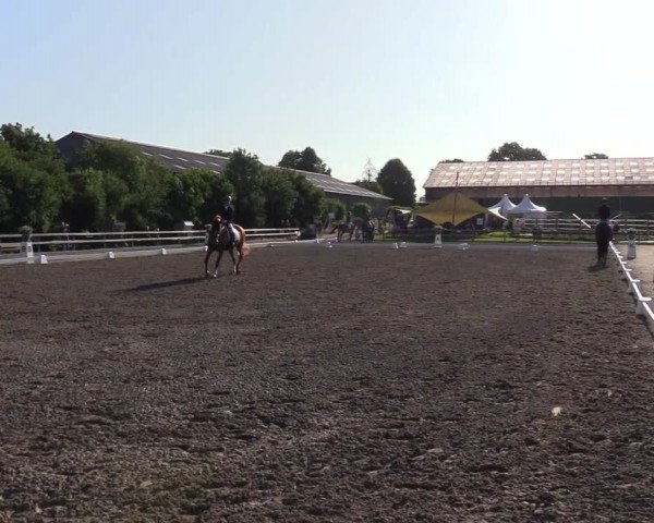 Reitturnier Kleinsolt 2023