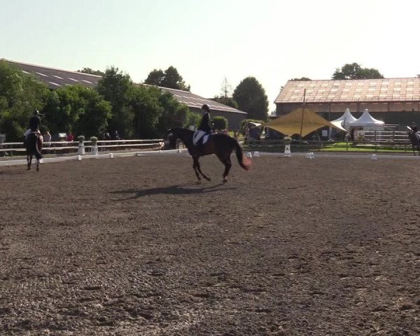 Reitturnier Kleinsolt 2023
