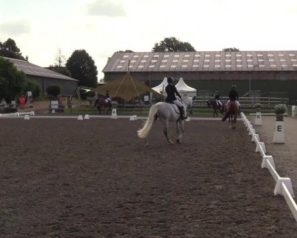Reitturnier Kleinsolt 2023