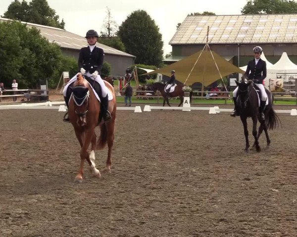 Reitturnier Kleinsolt 2023