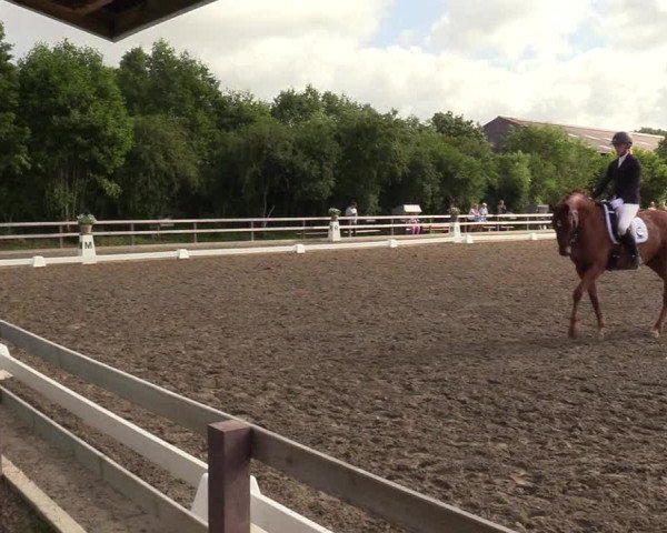 Reitturnier Kleinsolt 2023