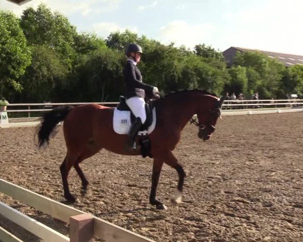 Reitturnier Kleinsolt 2023