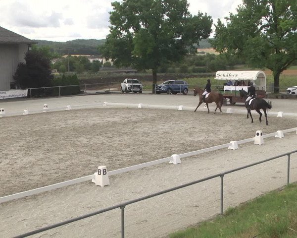 Reitturnier Ehningen 2023