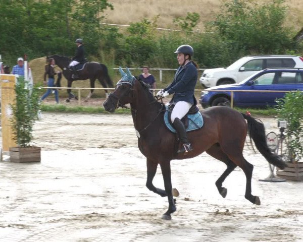 Reitturnier Heiligenwald 2023