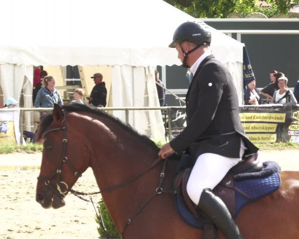 Reitturnier Heiligenwald 2023