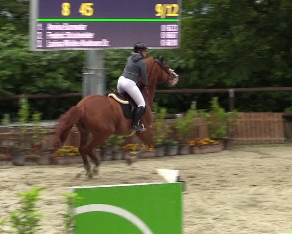 Reitturnier Marienheide-Kempershöhe 2023
