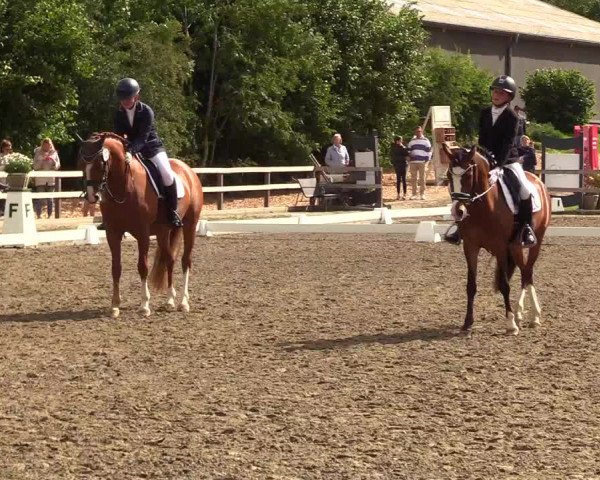 Reitturnier Kleinsolt 2023
