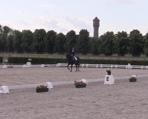 Reitturnier Neustadt/Dosse 2023