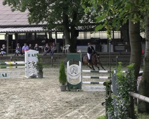 Reitturnier Marienheide-Kempershöhe 2023