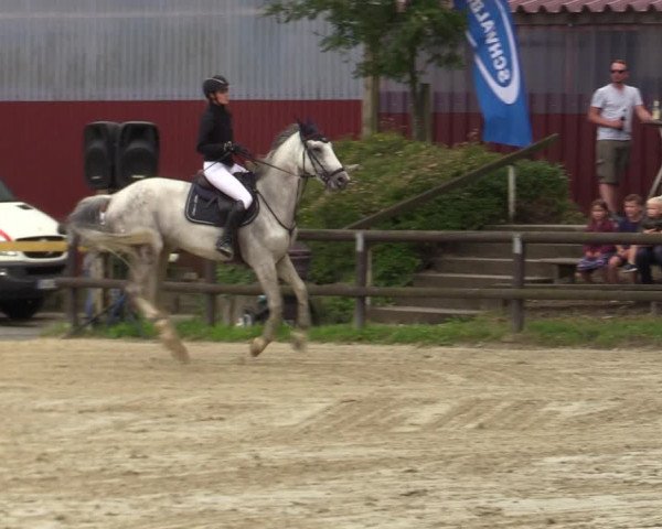 Reitturnier Marienheide-Kempershöhe 2023
