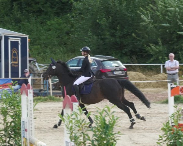 Reitturnier Heiligenwald 2023