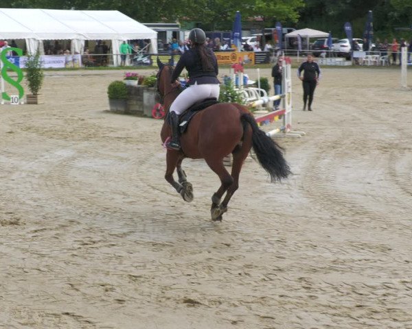 Reitturnier Heiligenwald 2023