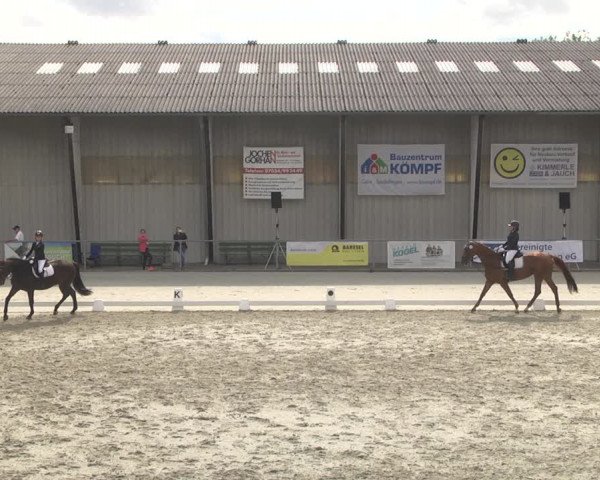 Reitturnier Ehningen 2023