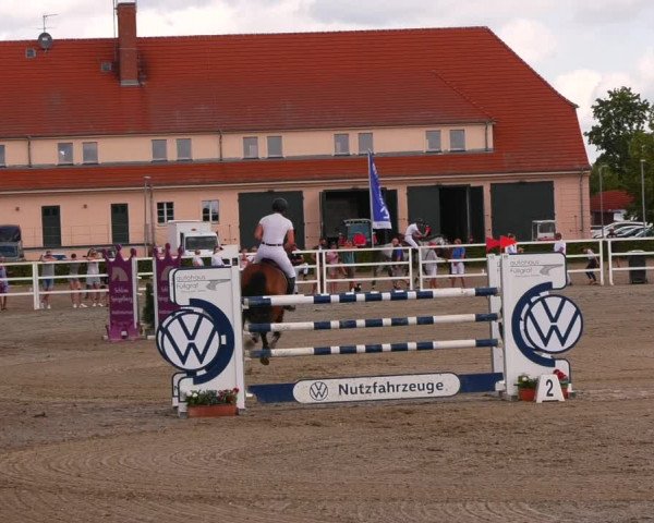 Reitturnier Neustadt/Dosse 2023