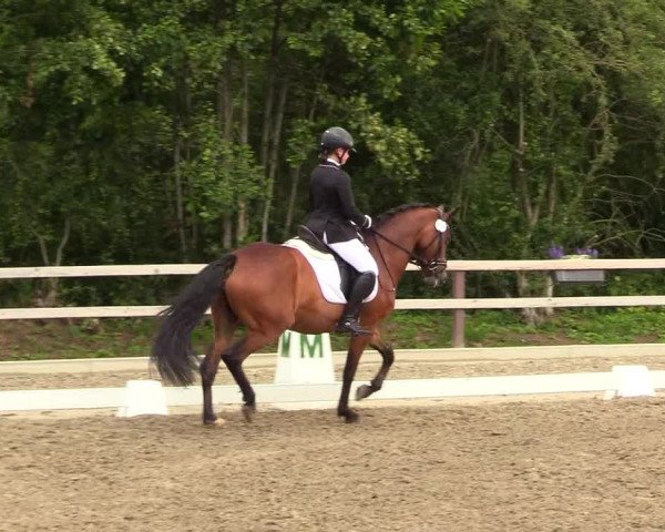 Reitturnier Kleinsolt 2023