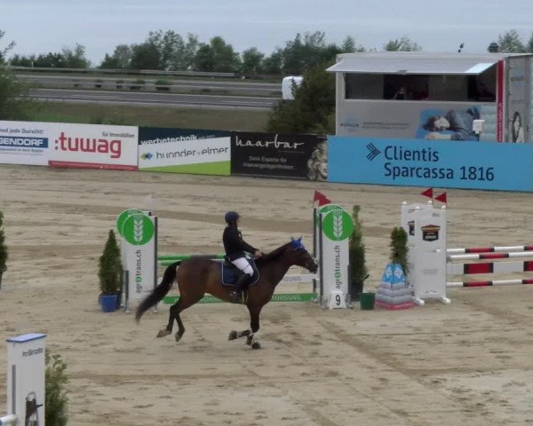 Reitturnier Wädenswil 2023