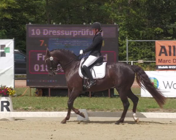 Reitturnier Heiligenwald 2023