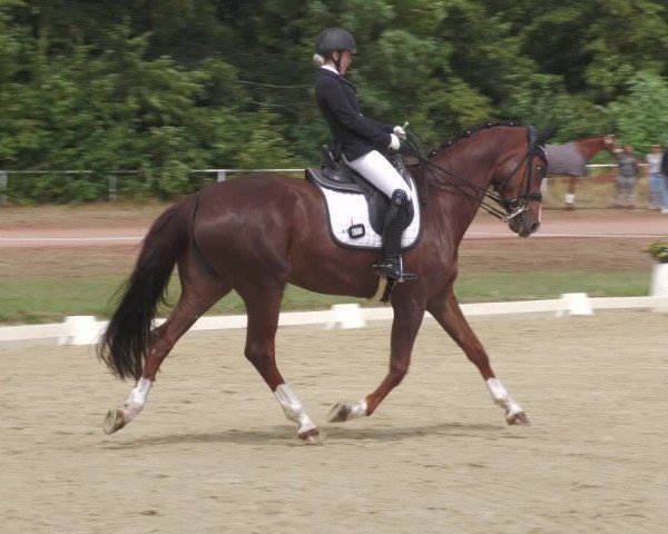 Reitturnier Heiligenwald 2023