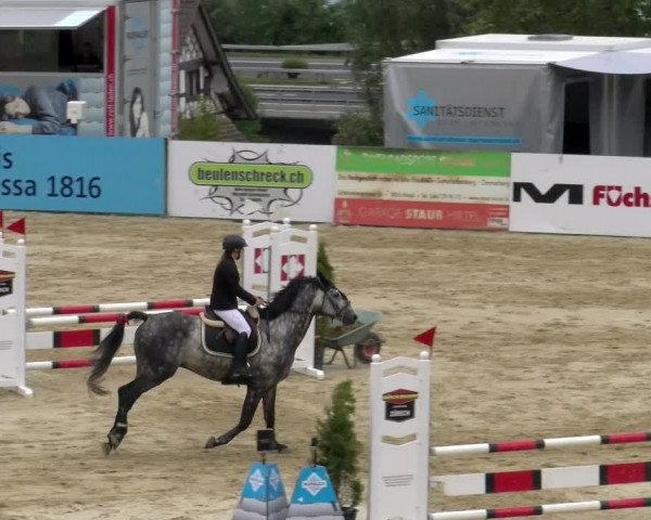 Reitturnier Wädenswil 2023