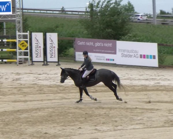 Reitturnier Wädenswil 2023