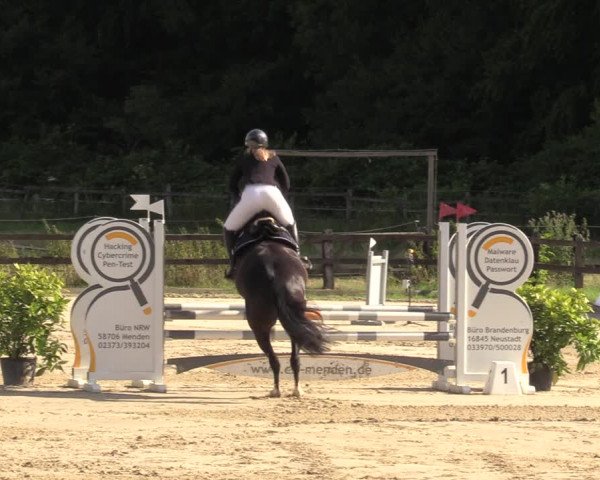 Reitturnier Hemer 2023
