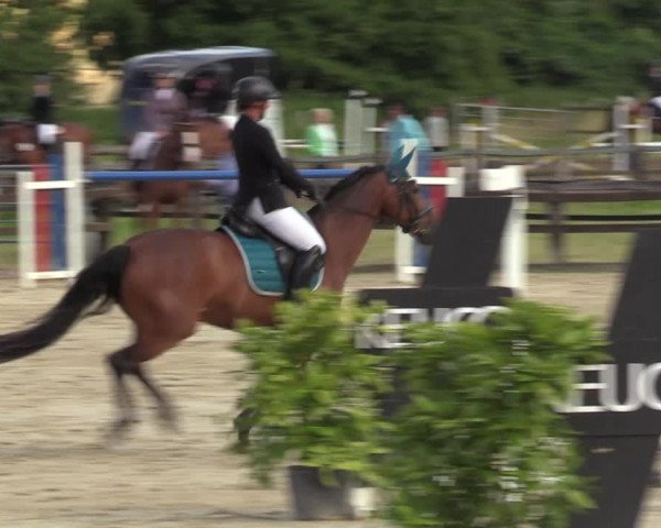 Reitturnier Hemer 2023