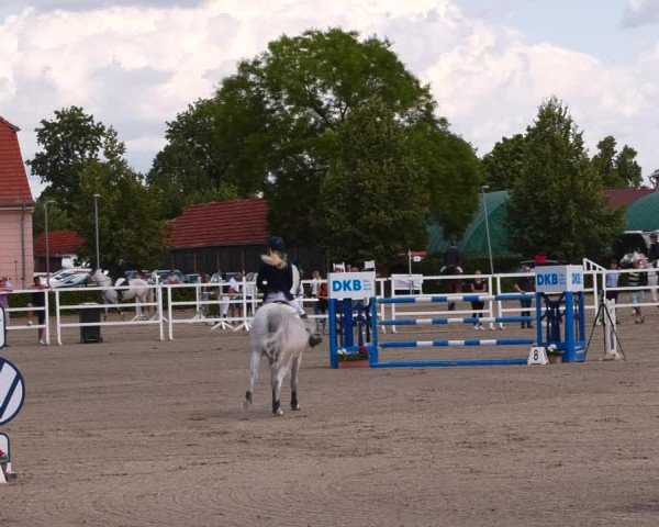 Reitturnier Neustadt/Dosse 2023