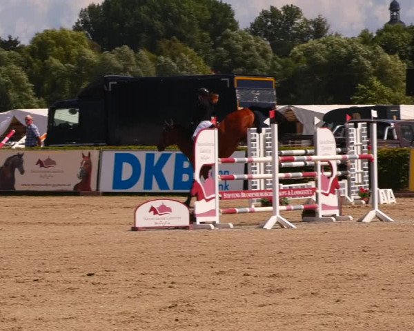 Reitturnier Neustadt/Dosse 2023