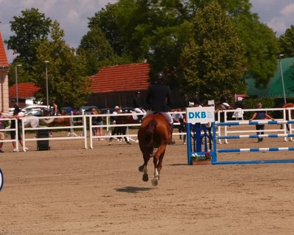 Reitturnier Neustadt/Dosse 2023