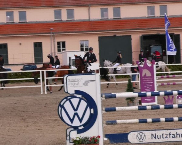 Reitturnier Neustadt/Dosse 2023