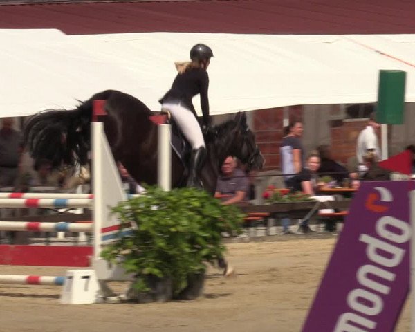 Reitturnier Hemer 2023