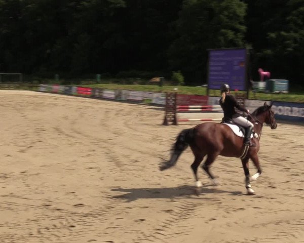 Reitturnier Hemer 2023