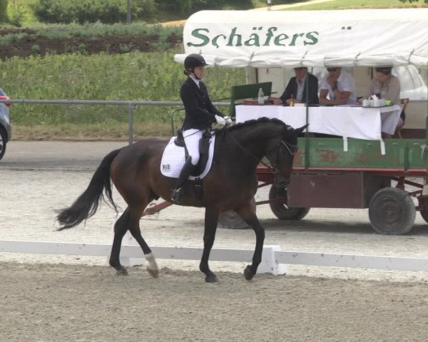Reitturnier Ehningen 2023